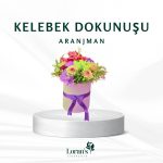 Kelebek dokunuşu Aranjman