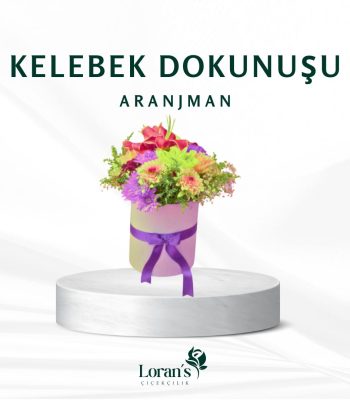 Kelebek dokunuşu Aranjman